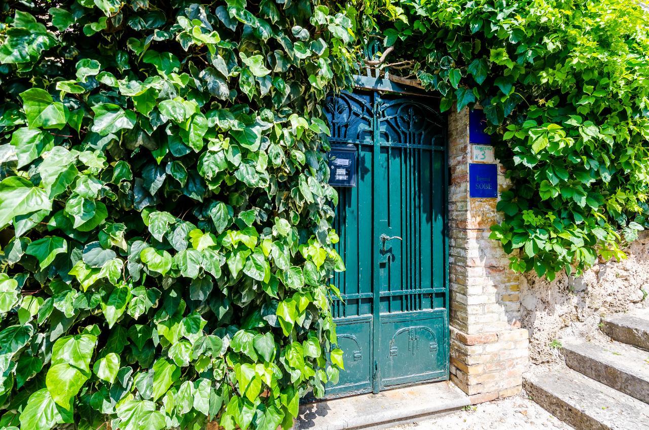 Guest House Ivana Dubrovnik Kültér fotó